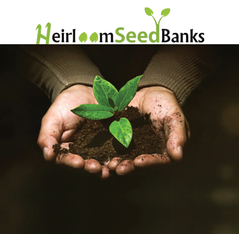 Heirloom Seed Bank