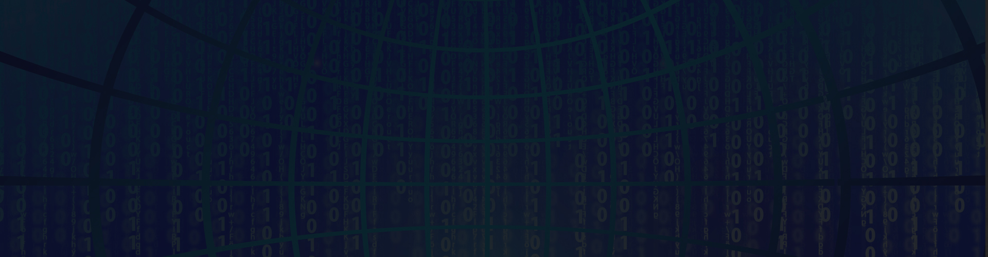 WordPress Security Solutions Banner WordPress Security Solutions Banner